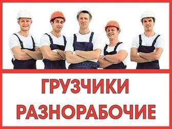 Услуги грузчиков и разнорабочих в Алматы