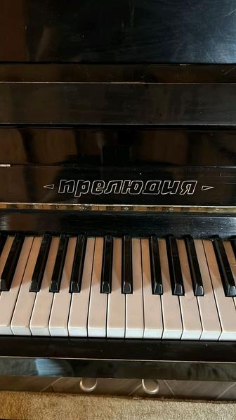 Настройка пианино фортепиано настройщик