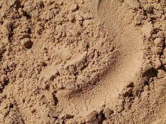 Песок барханный