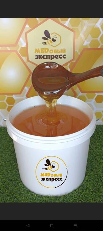 Продам натуральный мёд оптом