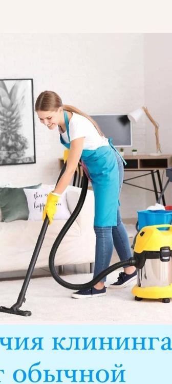 Услуга уборки дома С парогенератором и средством Grass