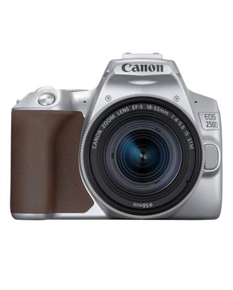 Фотокамера Canon EOS 250D EF-S 18-55 IS STM Kit серебристый