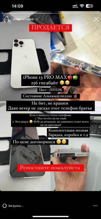 iPhone 13 PRO max