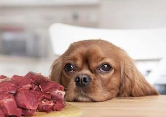 Свежое мясо обрезь для собак.