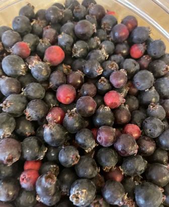 Доставка ягоды жидек ирга Смородина клубника малина вишня облепиха