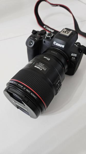 Canon R6 mark 2 с объетивом 85мм f1.4 L