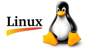 УСТАНОВКА Linux Ubuntu,Debian,CentOS,Arch