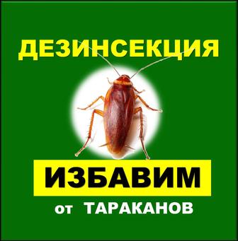 ДЕЗИНФЕКЦИЯ (уничтожение тараканов, клопов, муравьев, блох и грызунов)