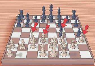 Тренер по шахматам