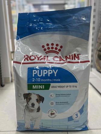 Royal Canin Mini puppy 8kg