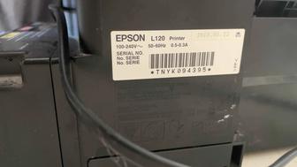 Принтер цветной Epson