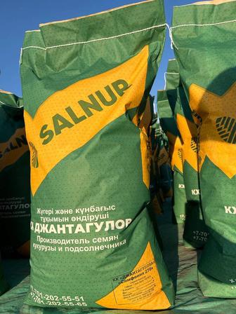 Реализация саженцы-семена кукурузы и подсолнечника