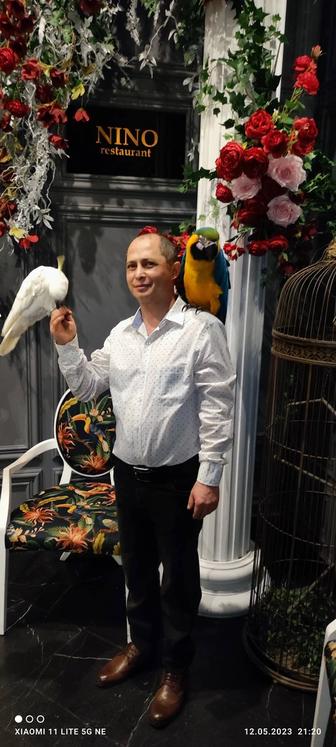 Фото видеосьемки на праздники с попугаями ара какаду!