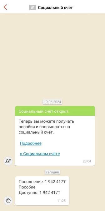 Сопровождение в декрет/Ведение ИП