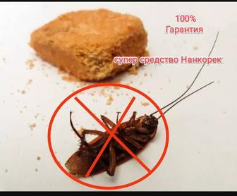 Дезинфекция тараканов безопасным методом