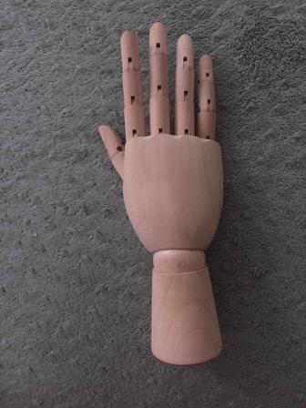 деревянная модель руки