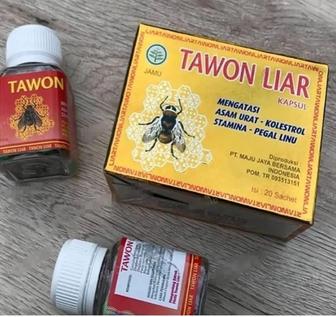 Tawon liar, пчелка