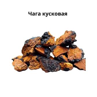 Чага кусковая