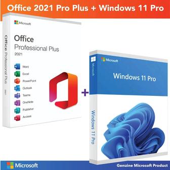 Услуга программиста Setup Windows 11 Office 2021