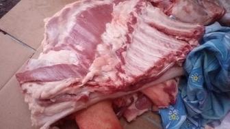 Продам мясо свинины