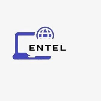 Фирма Entel уже 5 лет на рынке обслуживание . у нас вы можете обслужия