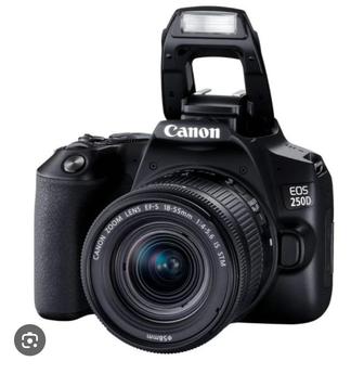Canon EOS250D и объектив Canon EF 50 mm