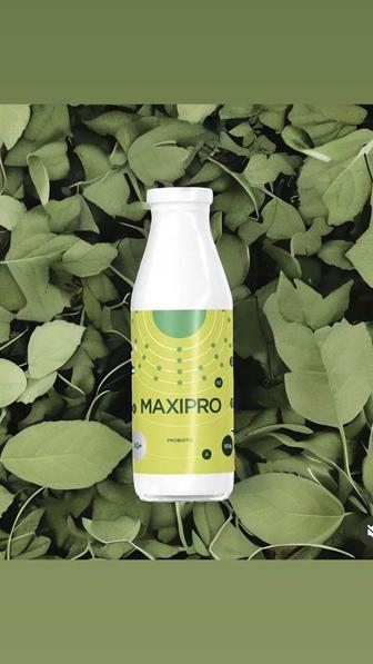 Пробиотик MAXIPRO