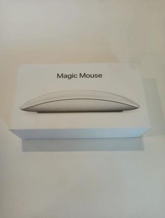 Мышка magic mouse