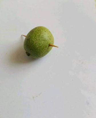 Зелёный грецкий орех молочной спелости