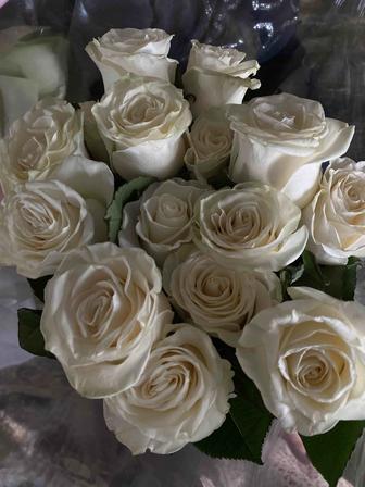 Метровые белые розы