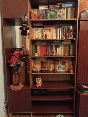 Книжный шкаф с книгами