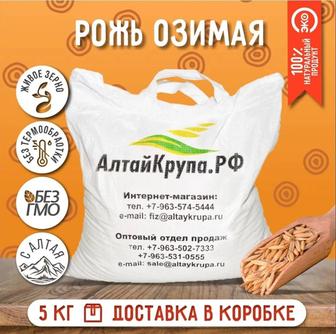 Рожь озимая 5 кг Алтай