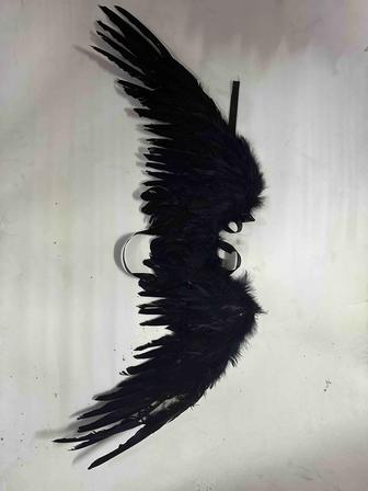 Крылья черные. Черные крылья