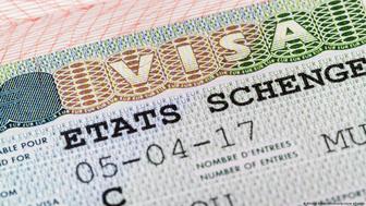 Визы в Шенген и США