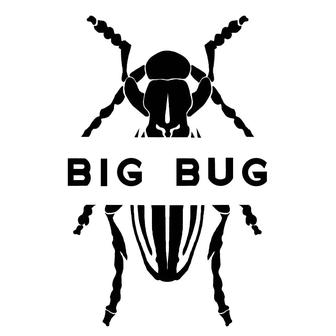 Обработка против тараканов, клопов, блох, муравьев и прочиз насекомых
