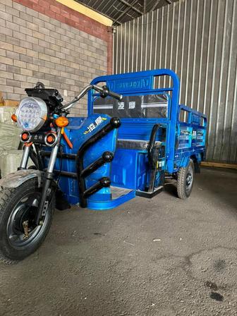 Трицикл муравей грузовой электрический аккумулятором мото Мопеды мотоцикл