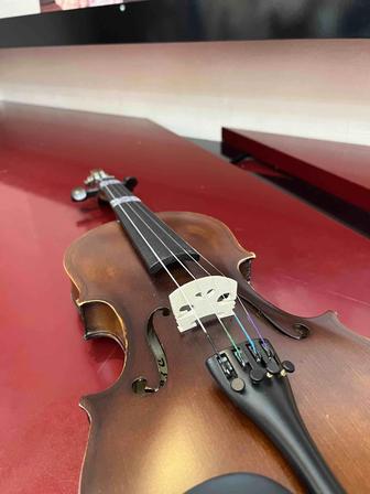 Обучение игры на скрипке с выездом на дом