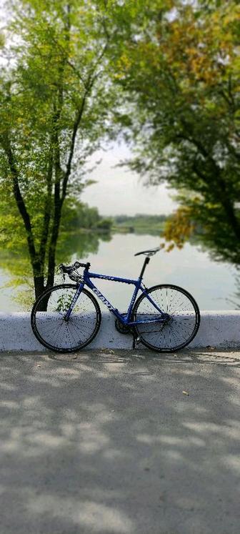 Шоссейный велосипед Giant TCR карбоновый