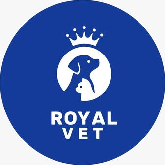Royal Vet ветеринарный кабинете