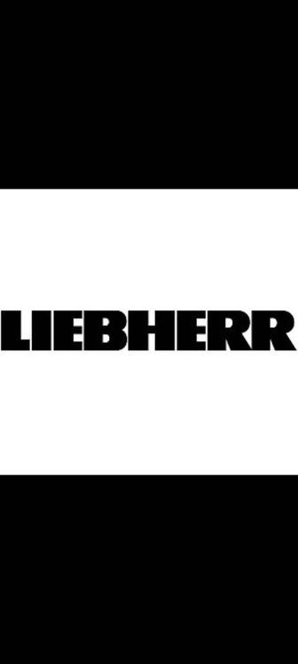 Центральная смазка для Liebherr