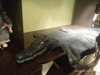 Сувенир крокодил Кайман