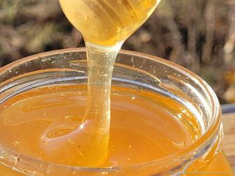 Майский мед натуральный 100%, Восточный Казахстан