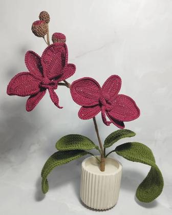 Интерьерная Орхидея
