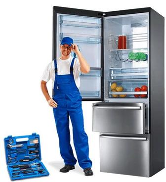 Ремонт холодильников на Дому