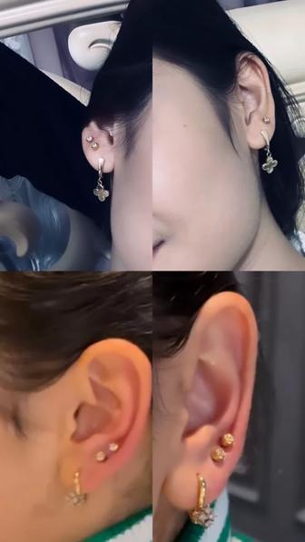 Пракол ушей