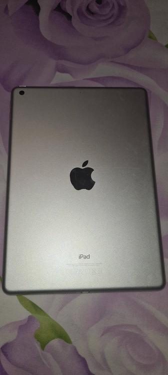 Apple iPad 9.7 (5-го поколения)