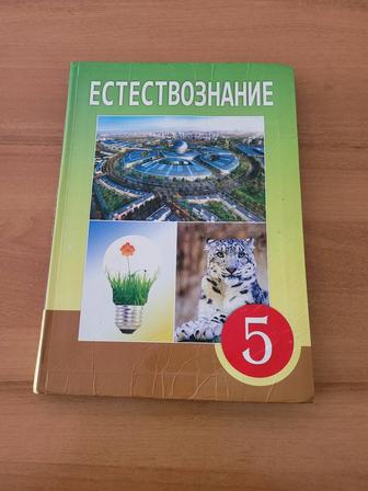 Школьные книги