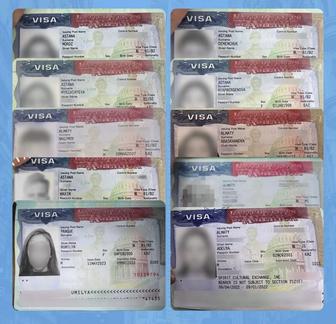 Подача на визу США и Шенген