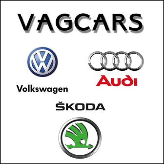 Ремонт двигателя концерна ВАГ VAG Volkswagen Audi Porsche Skoda